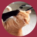 avatar ᴀᴘᴏᴄᴀʟʏᴘꜱᴇ