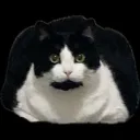 hntxrr