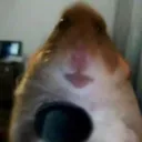jesk1ng