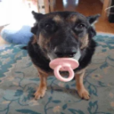 rareqn's profile picture