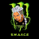 avatar ❄🧊S.W.A.II.C.E🧊❄