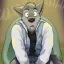 kyoto_t_wolf avatar