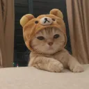 krazyytsu