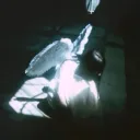 .ind_3.x.an_g3l.