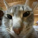 666_desing_666 avatar