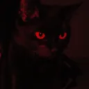 mr.msa
