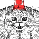 ne_ko_taro