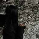 avatar 𝘱𝘢𝘺𝘵𝘰𝘯