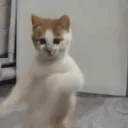 francohz