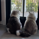 avatar Holy Ayla🌴