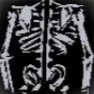 sam_tkndrd1
