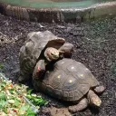 Аватар my_ezhik