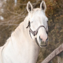 avatar Yokoyama Kaguya | 横山 かぐや