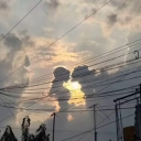 avatar wholegrain molebrain