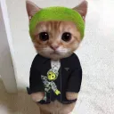 blondedkatch