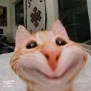 6qjx