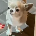 enemye__