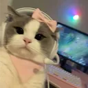 n0.noodles