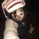 avatar ꔫ☆˚₊‧ ໒ ‧₊˚