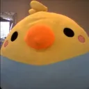_.chicky._ avatar