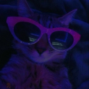 avatar ! ᴢɪʟᴏ !