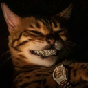 avatar ! ᴢɪʟᴏ !