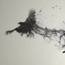 avatar 𝓭яยмм𝑒я Øⓕ 𝓭𝐚яⓀ𝐍𝑒丂丂