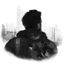 darius.rpn