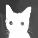 szym0neek