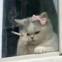 avatar JOEYYY