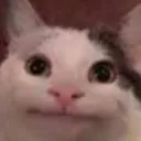 lafflgp avatar