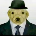 miliox3670115 avatar