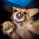 avatar 𝔐𝔞𝔠𝔥𝔦𝔞𝔥𝔠