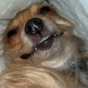 avatar 𝔐𝔞𝔠𝔥𝔦𝔞𝔥𝔠