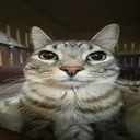 kalper_0