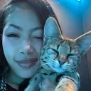 rayyyarchive