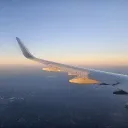 tigerlily2222 avatar