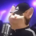chatonking.