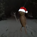 Аватар moshsha74