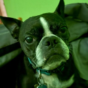 avatar Waterized pressure reactor