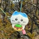 kazuchichi