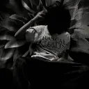 lna_t