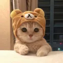 zentaj