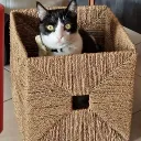 AjejeBrazorf's Avatar