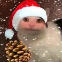 justarandomcat18's Avatar