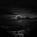 darkplash