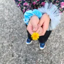 mejlis