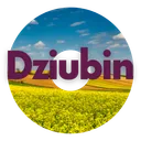 dziubins