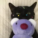 mioluvv