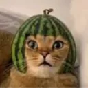 a discord avatar